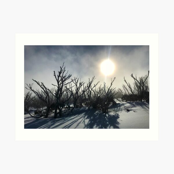Art Print