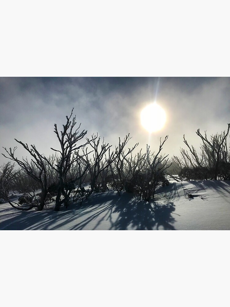 Thumbnail 3 of 3, Art Print, Snow Gum Ghosts designed and sold by ajdesignsau.