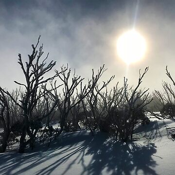 Artwork thumbnail, Snow Gum Ghosts by ajdesignsau