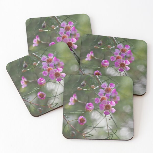 Item preview, Geraldton wax flowers  designed and sold by jayview.