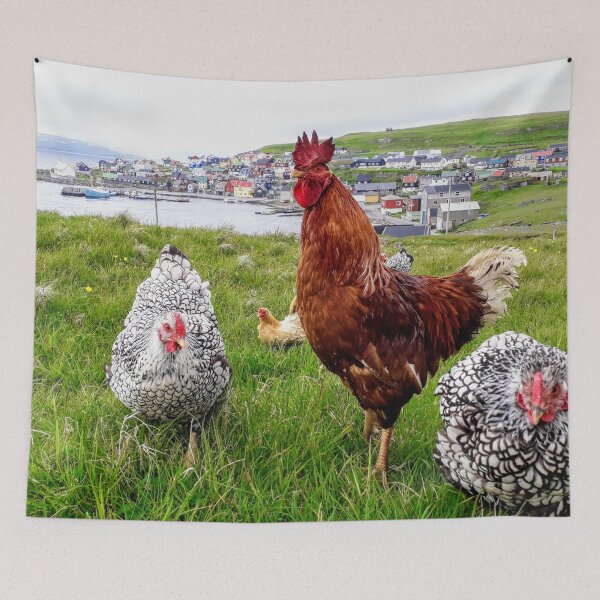 Item preview, Rooster and hens Sea view Faroe Islands designed and sold by Tanja Dianova.