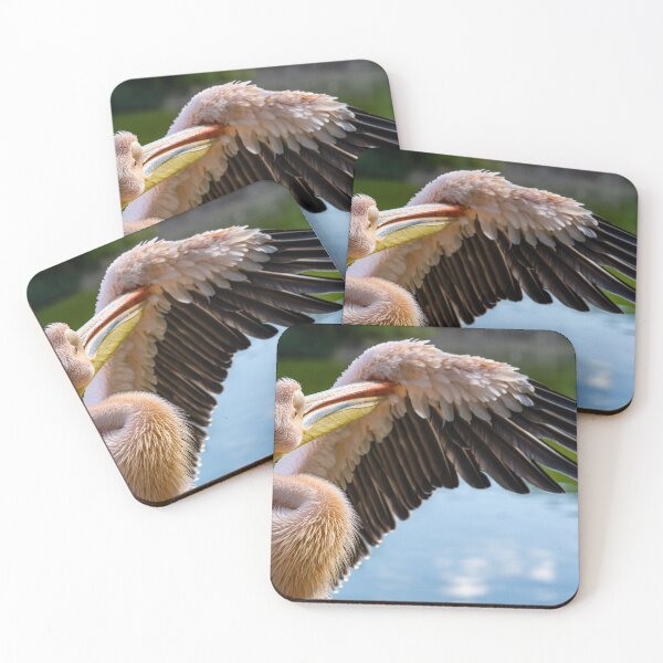 Item preview, Pink Pelican spreading its wing designed and sold by 5R Photography.