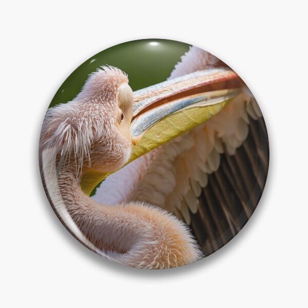 Item preview, Pink Pelican spreading its wing designed and sold by 5R Photography.