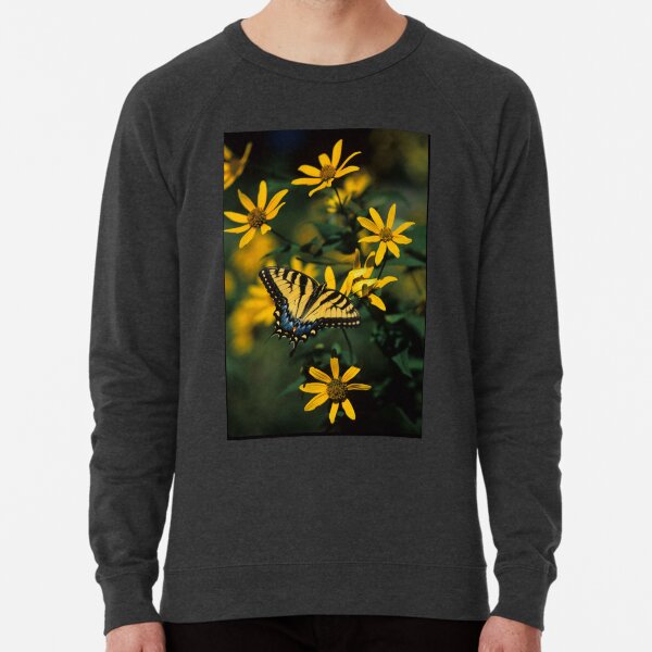Tiger Swallowtail Butterfly Lightweight Sweatshirt