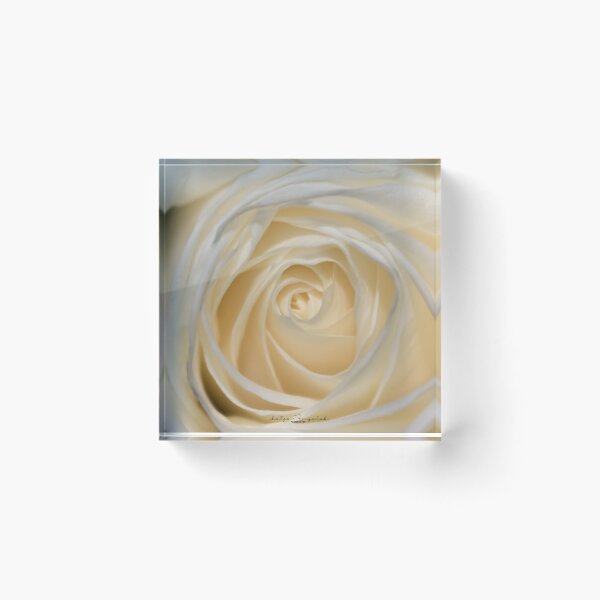 Item preview, White Rose designed and sold by Katja Golob.