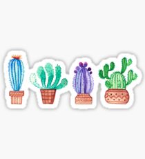 Cacti Sticker