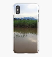 Reeds iPhone Case/Skin