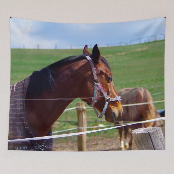 Item preview, Horse brilliance designed and sold by Treemonk.