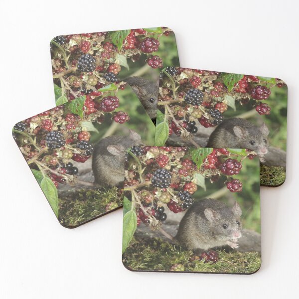 Item preview, brambles and mouse  designed and sold by Simon-dell.