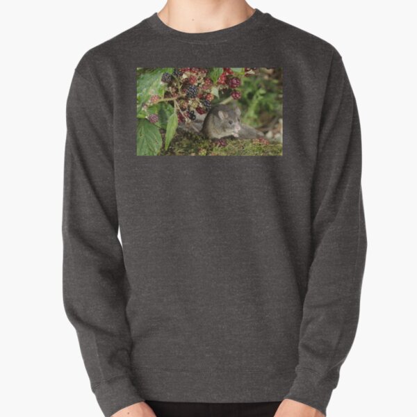 brambles and mouse Pullover Sweatshirt