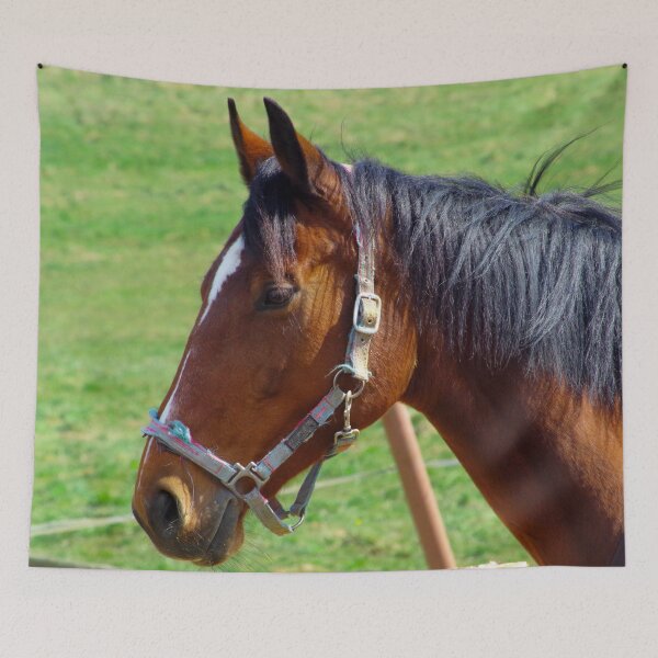 Item preview, Horse portrait designed and sold by Treemonk.