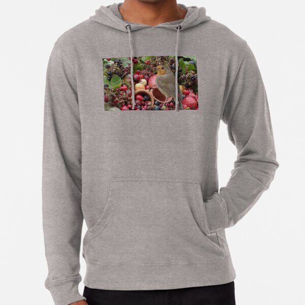 festive robin Lightweight Hoodie