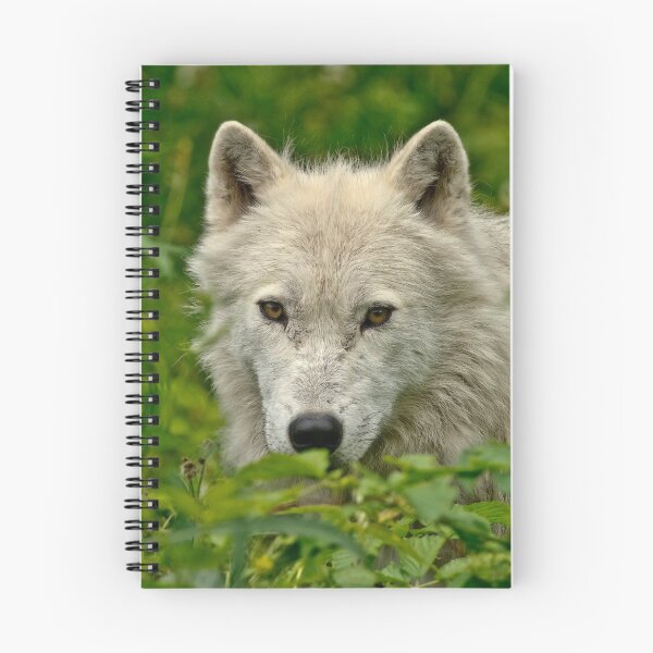 Item preview, Arctic Wolf designed and sold by WolvesOnly.