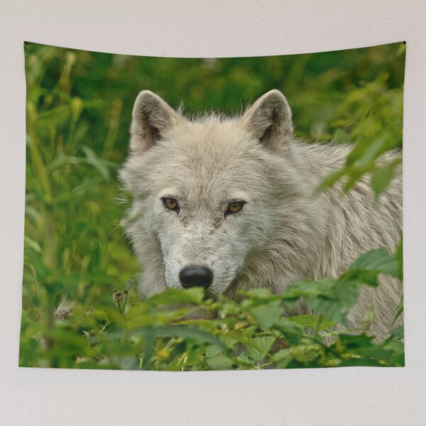 Item preview, Arctic Wolf designed and sold by WolvesOnly.