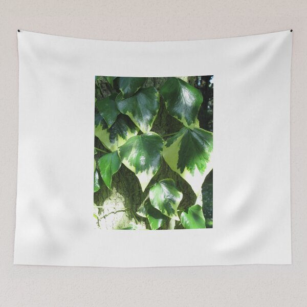 Item preview, Clinging to You designed and sold by valerie travers.