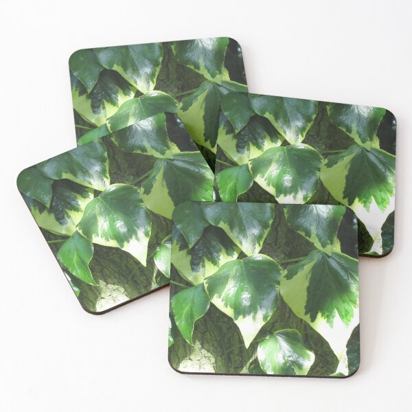 Item preview, Clinging to You designed and sold by valerie travers.