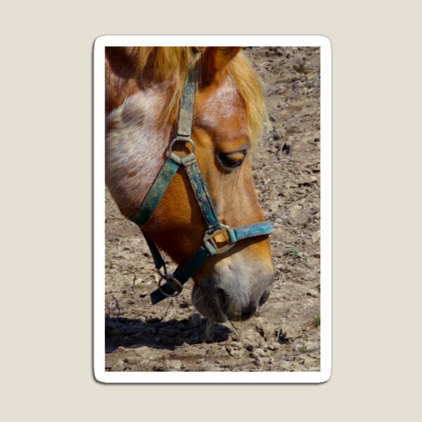 Item preview, Horse portrait designed and sold by Treemonk.