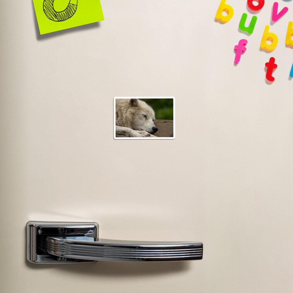 Aperçu de l'œuvre Magnet créée et vendue par WolvesOnly.