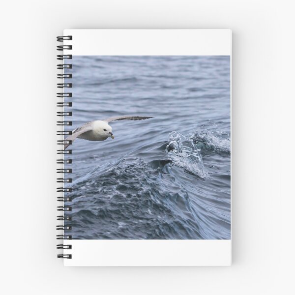 Item preview, Northern Fulmar designed and sold by Richard Greenwood.