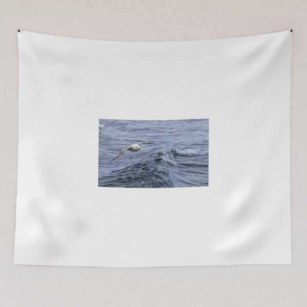 Item preview, Northern Fulmar designed and sold by Richard Greenwood.