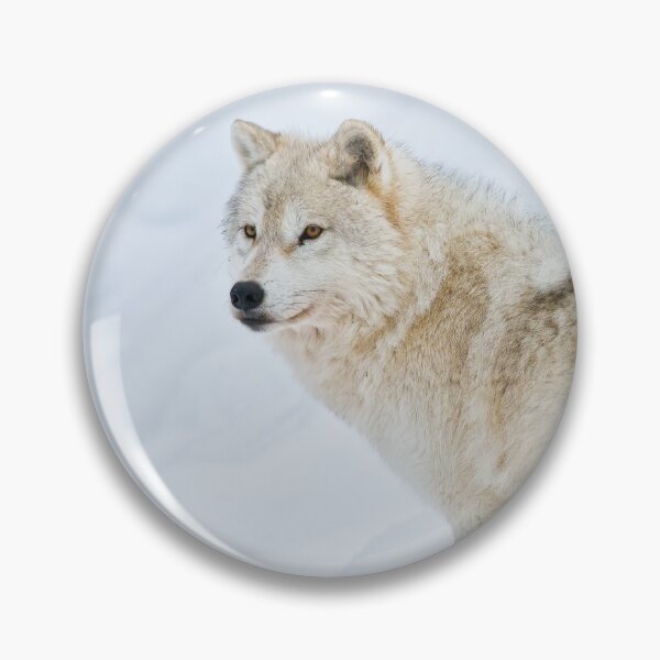 Artikelvorschau, Arctic Wolf entworfen und verkauft von WolvesOnly.