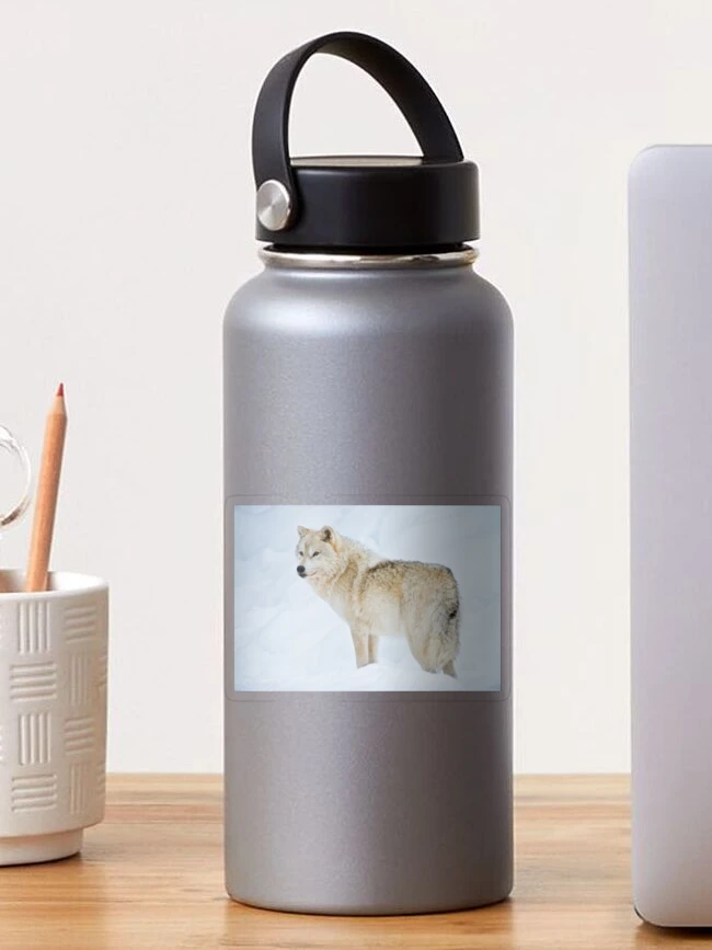 Imagen 1 de 3, Pegatina con la obra Arctic Wolf, diseñada y vendida por WolvesOnly.