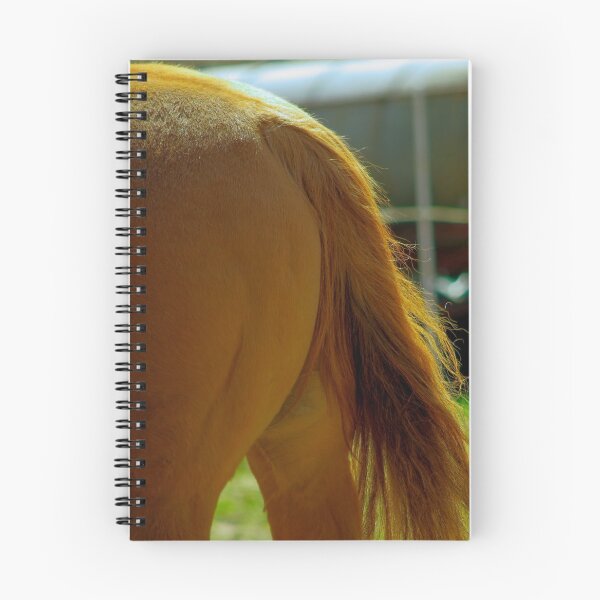 Item preview, Fondo de caballo designed and sold by Treemonk.