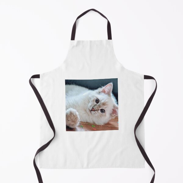 Item preview, Saoirse the princess ragdoll kitten designed and sold by Fluffycat2020.