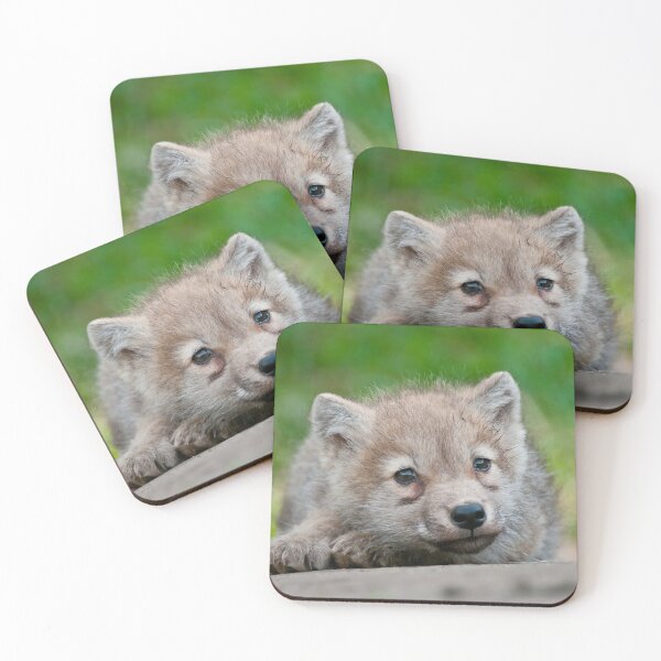Item preview, Arctic Wolf Pup designed and sold by WolvesOnly.