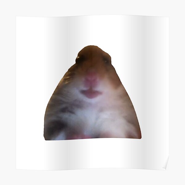 Hamster Starring Meme High Quality Poster By Justmannuy Redbubble