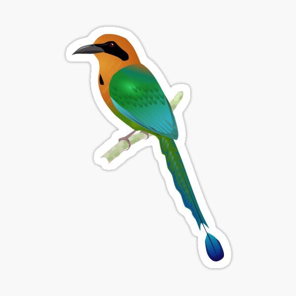 Rufous Motmot Sticker