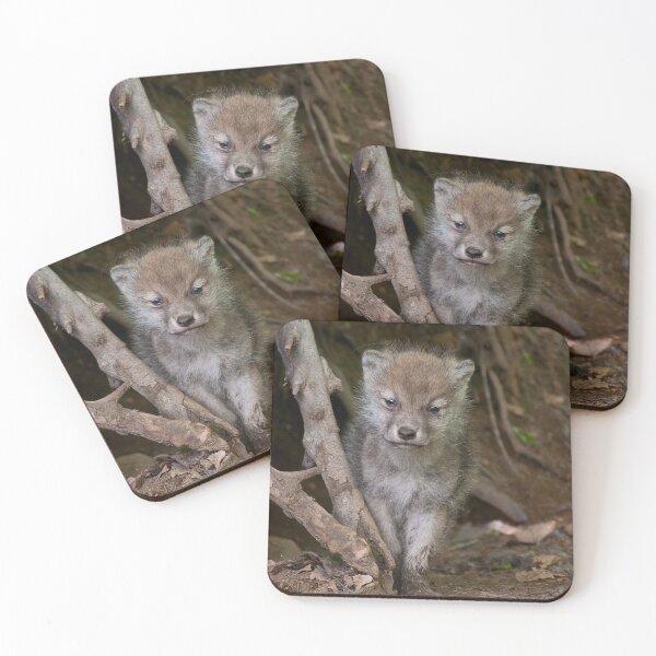 Item preview, Arctic Wolf Pup designed and sold by WolvesOnly.