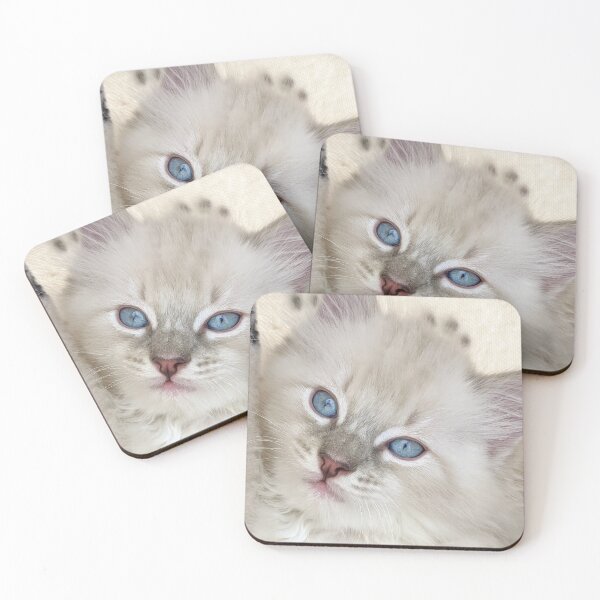 Item preview, Ragdoll boy kitten designed and sold by Fluffycat2020.