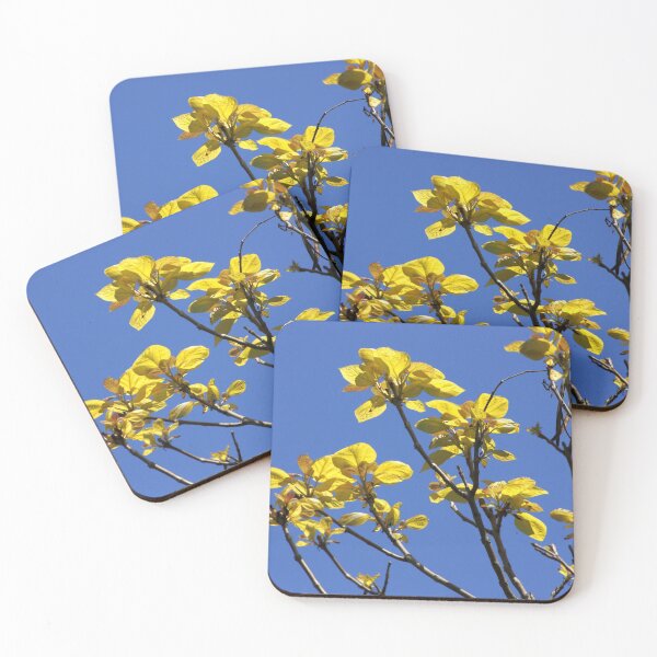 Item preview, Fresh Growth designed and sold by valerie travers.