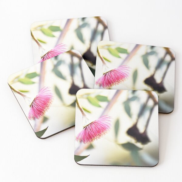 Item preview, Eucalyptus thamnoides - Australian Native designed and sold by imaginethis.