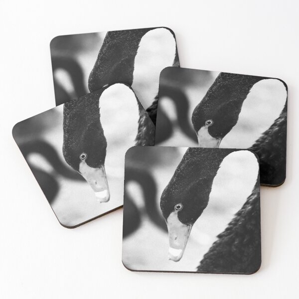 Item preview, Black swan designed and sold by Gaspar Avila.
