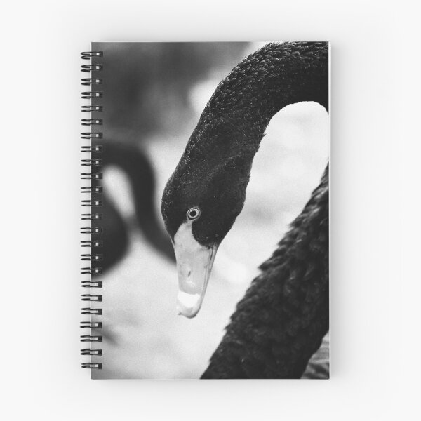 Item preview, Black swan designed and sold by Gaspar Avila.