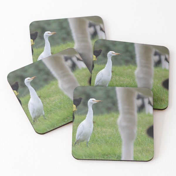 Item preview, Cattle Egret designed and sold by LaurenTucker.