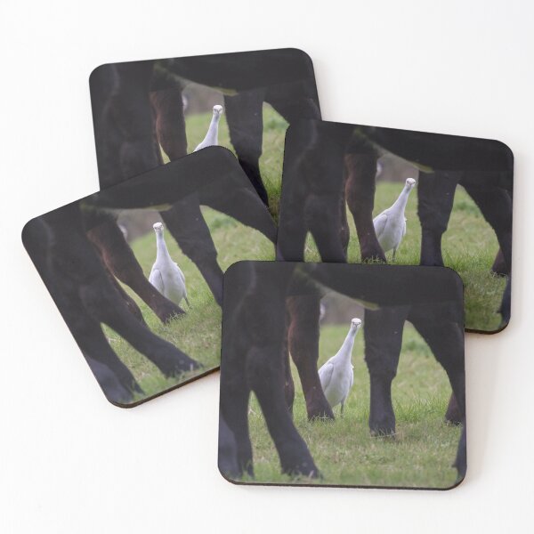 Item preview, Cattle Egret designed and sold by LaurenTucker.