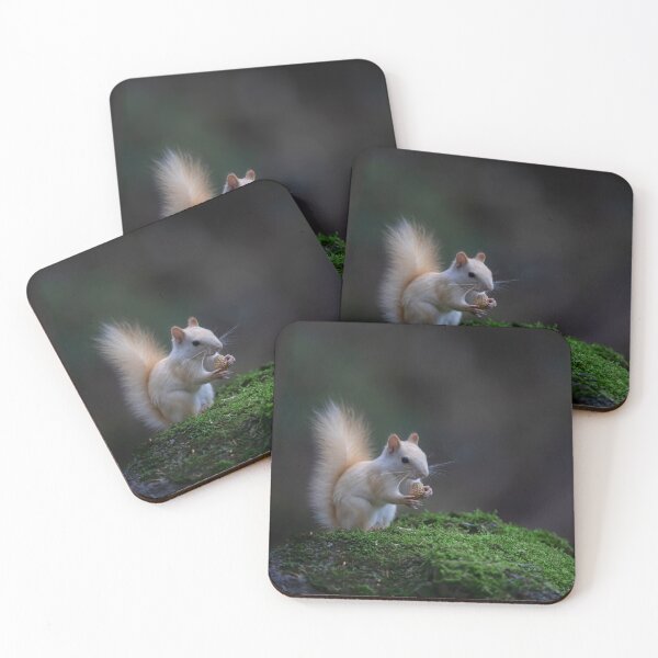 Item preview, White Squirrel eating a peanut designed and sold by James Cumming.