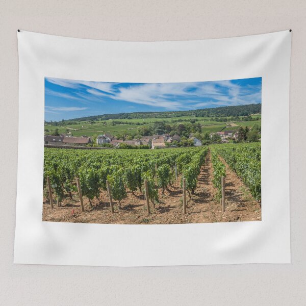 Item preview, View of in the vineyard in Burgundy Bourgogne home of pinot noir and chardonnay in summer day with blue sky. Cote d'Or. designed and sold by anytka.