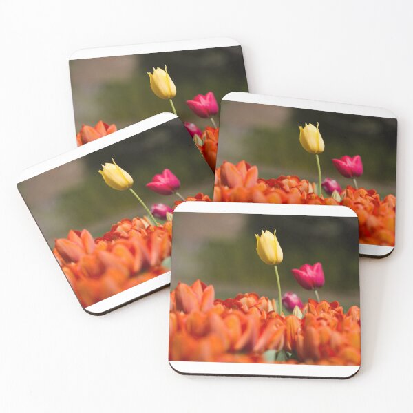 Item preview, Tall Tulip Syndrome  designed and sold by johnnieb.