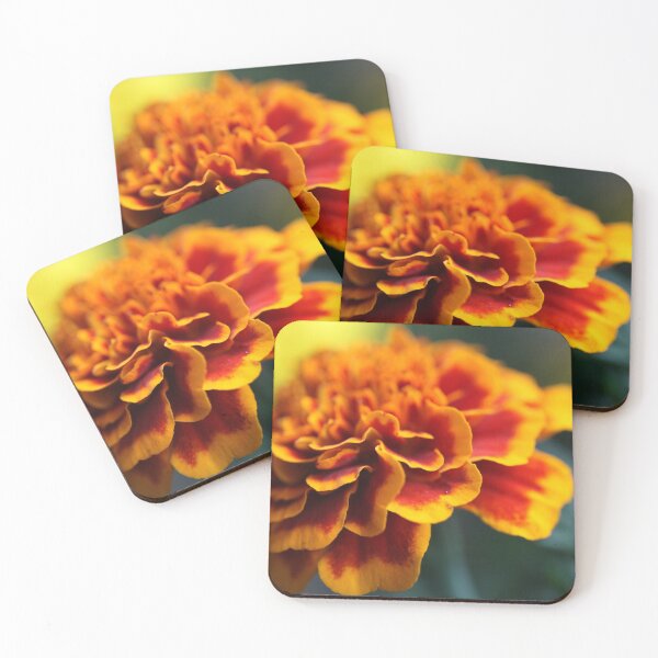 Item preview, Autumn , thank you flowers. Dr.Andrzej Goszcz.28/09/2020 . Canon 5D Mark II. designed and sold by © Andrzej Goszcz,M.D. Ph.D.