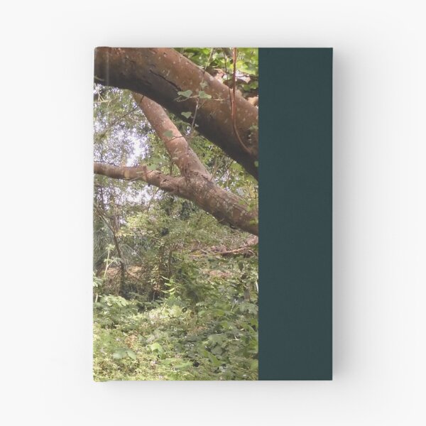 Item preview, A Walk in Nature designed and sold by valerie travers.