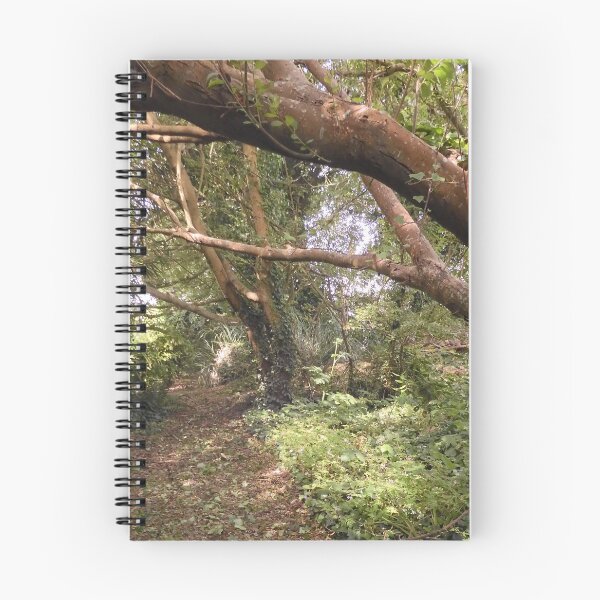Item preview, A Walk in Nature designed and sold by valerie travers.