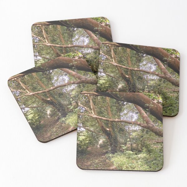 Item preview, A Walk in Nature designed and sold by valerie travers.