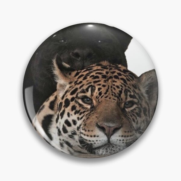 Artikelvorschau, Leopard and panther snuggling entworfen und verkauft von Melike-Bon.