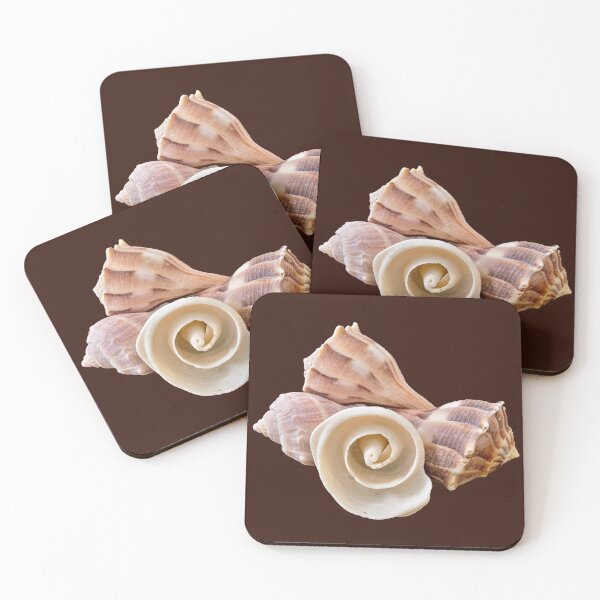 Item preview, Whelk Shell Arrangement with Rose-shaped Shell designed and sold by CarmaBaughman.