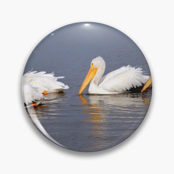Item preview, Four White Pelicans designed and sold by Cynthia48.