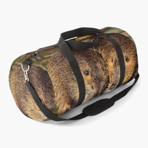 Item preview, Couple of nutria designed and sold by fourretout.